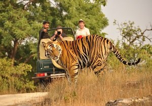 rajasthan-wildlife-tour