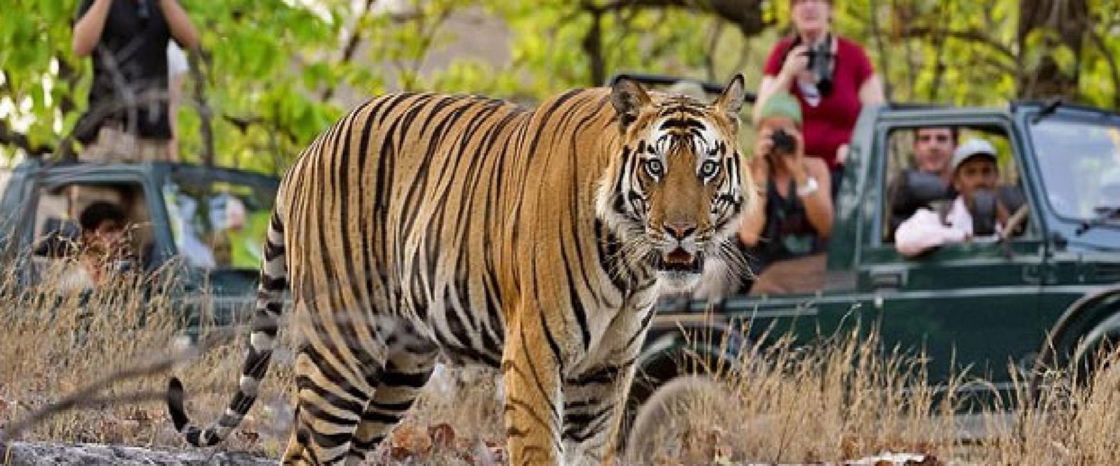 ranthambore-tour-banner1