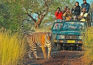 Delhi Agra Ranthambore and Jaipur Golden Triangle Tour